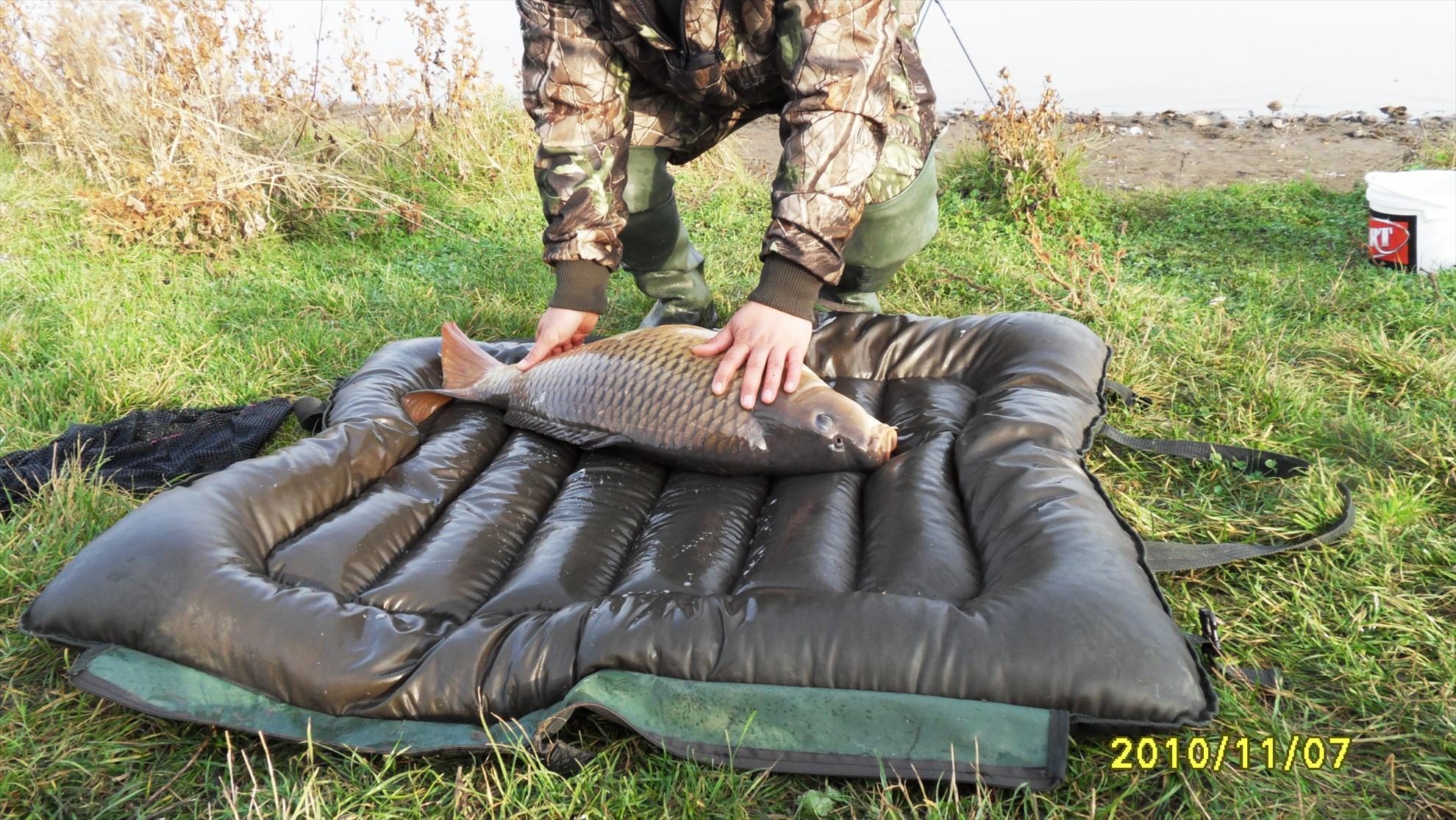 Livada de Bihor 2010 - livada-de-bihor-2010-043.JPG